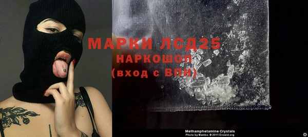ПСИЛОЦИБИНОВЫЕ ГРИБЫ Баксан