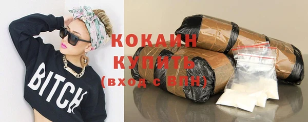 ПСИЛОЦИБИНОВЫЕ ГРИБЫ Баксан