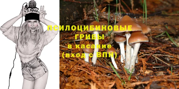 ПСИЛОЦИБИНОВЫЕ ГРИБЫ Баксан