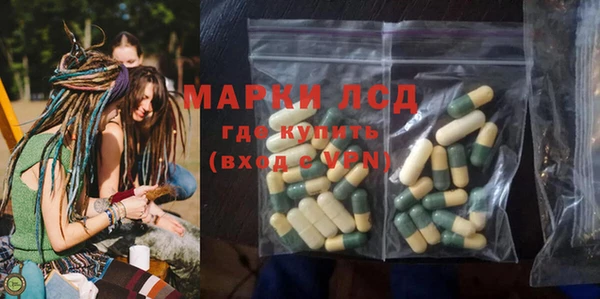 ПСИЛОЦИБИНОВЫЕ ГРИБЫ Баксан