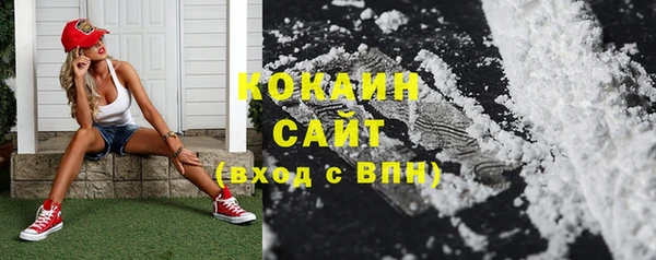 ПСИЛОЦИБИНОВЫЕ ГРИБЫ Баксан