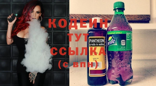 шишки Балабаново