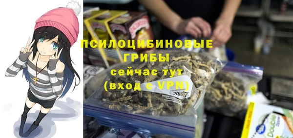 шишки Балабаново